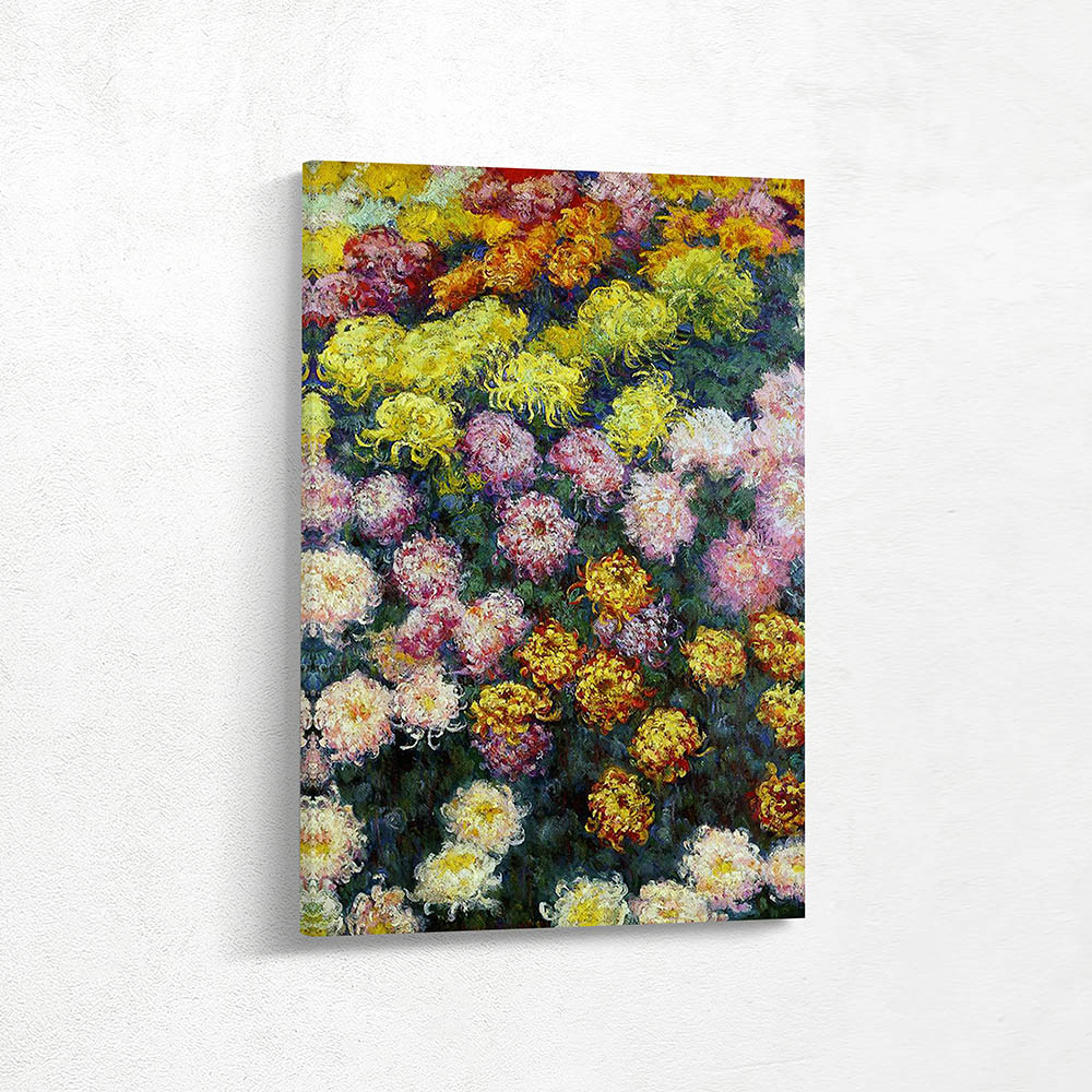 Bed of Chrysanthemums Bed of Chrysanthemums