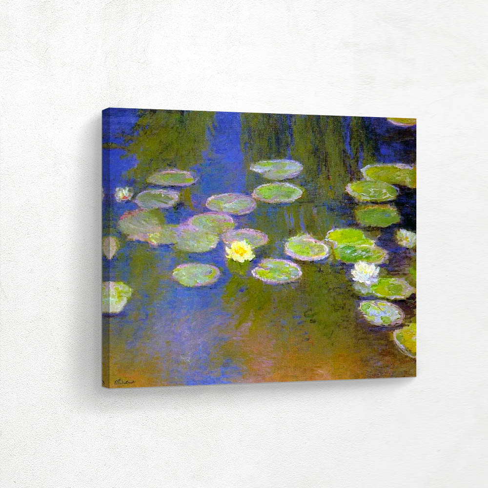 Water Lilies