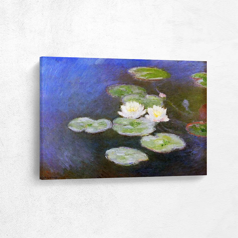 Water Lilies Evening Effect