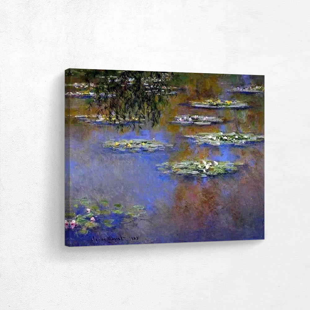 Water Lilies Water Lilies