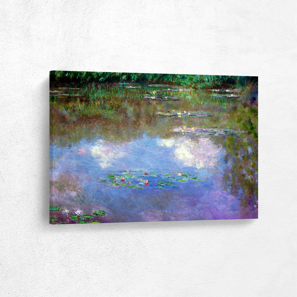 Water Lilies The Clouds