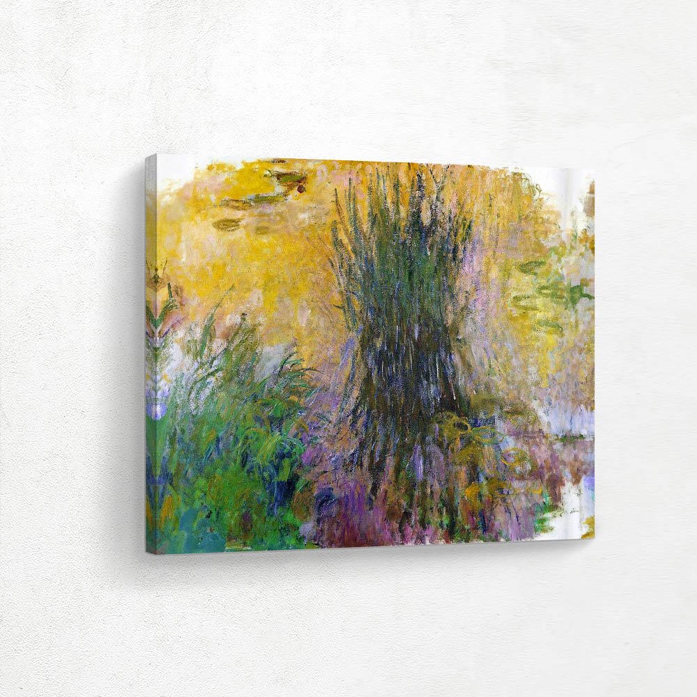 Water Lilies 50