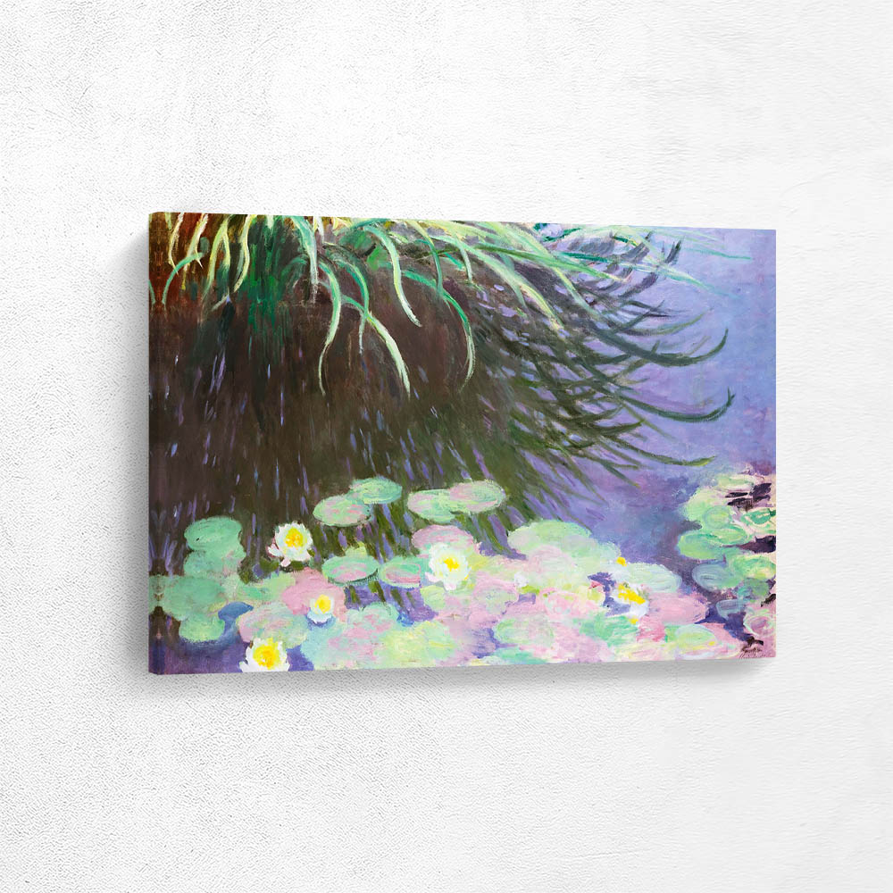 Water lilies with reflections of tall grass