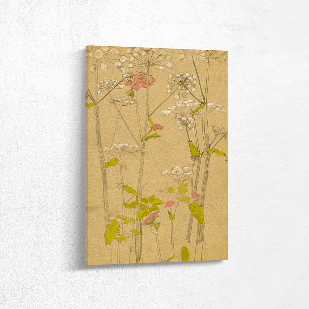 Plant study Plant study