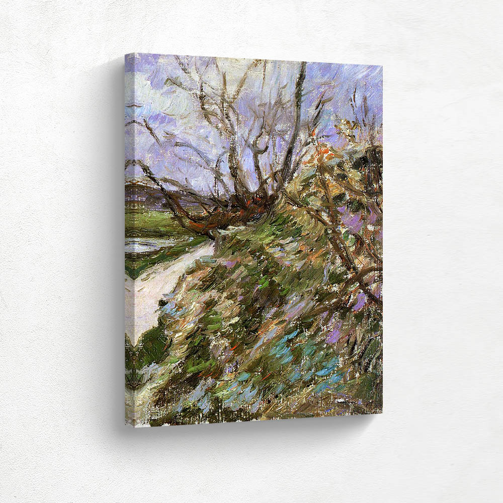 River bank in winter