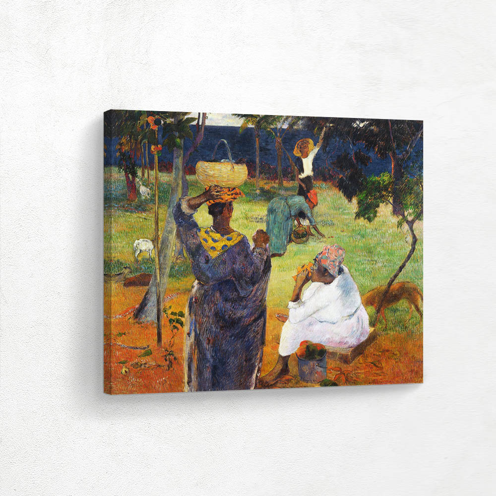 The Mango Trees Martinique