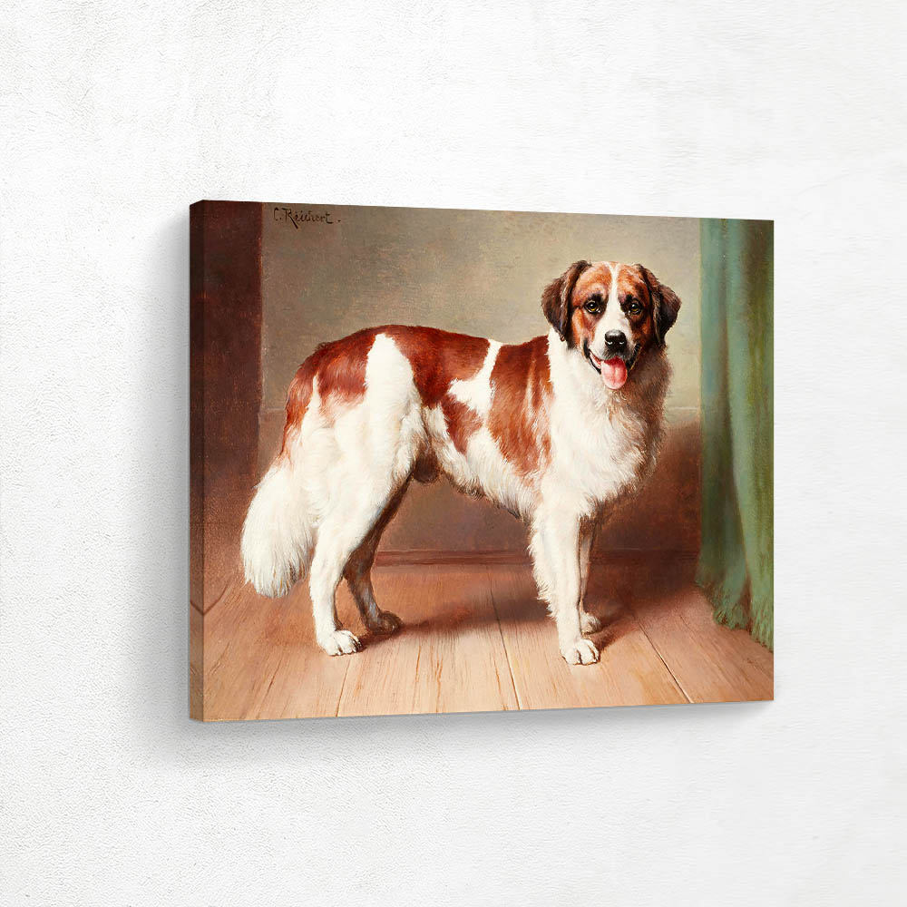 Portrait of a St. Bernard