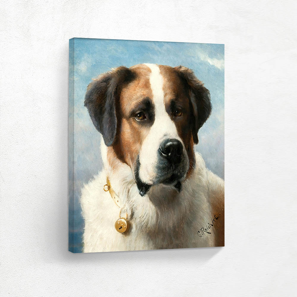 St Bernard