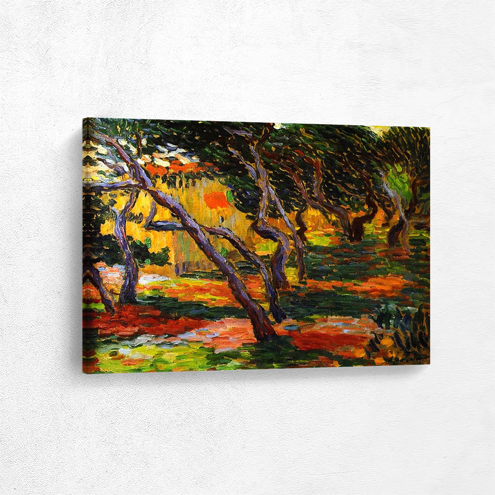 Olive Grove  Landscape with Roads and Trees