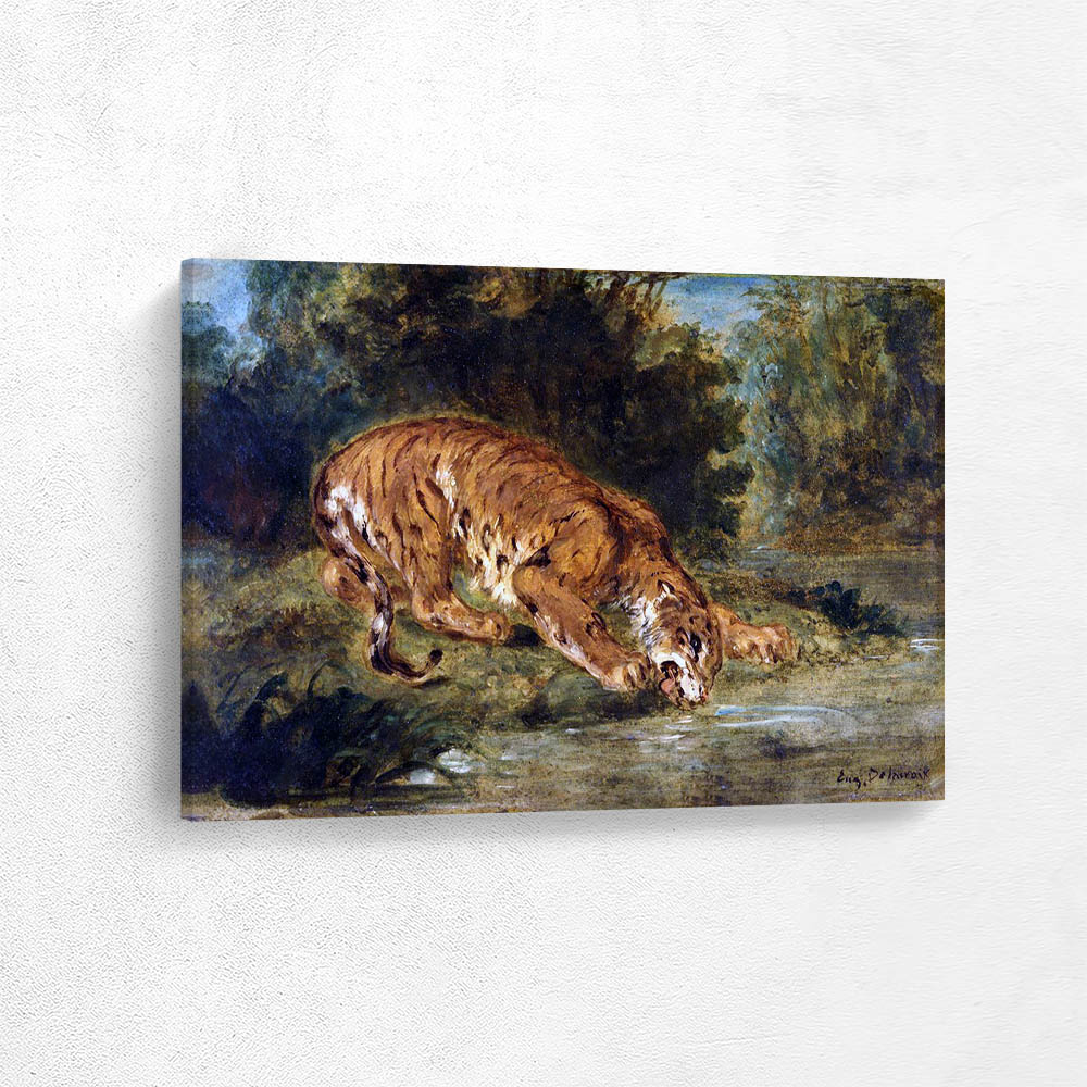 Tiger Drinking