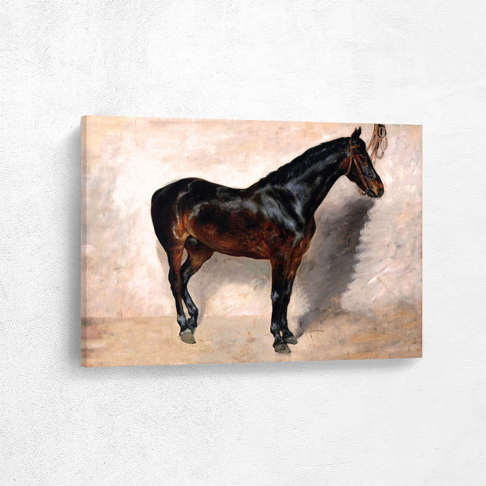 Study of a Brown Black Horse Tethered to a Wall