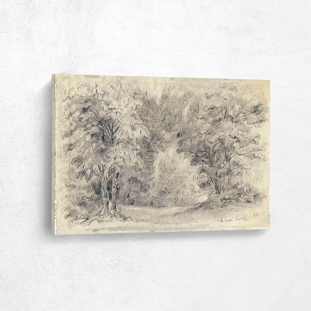 View in a forest