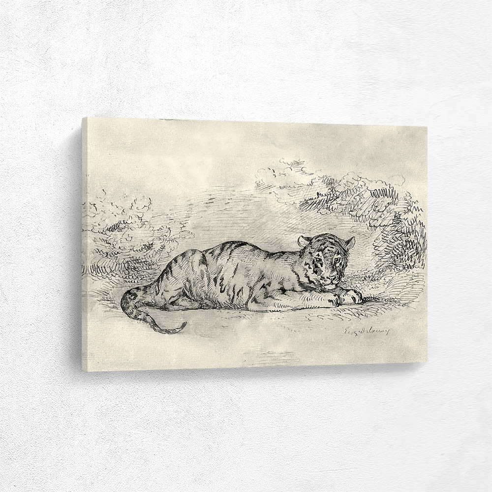 Tiger lying down
