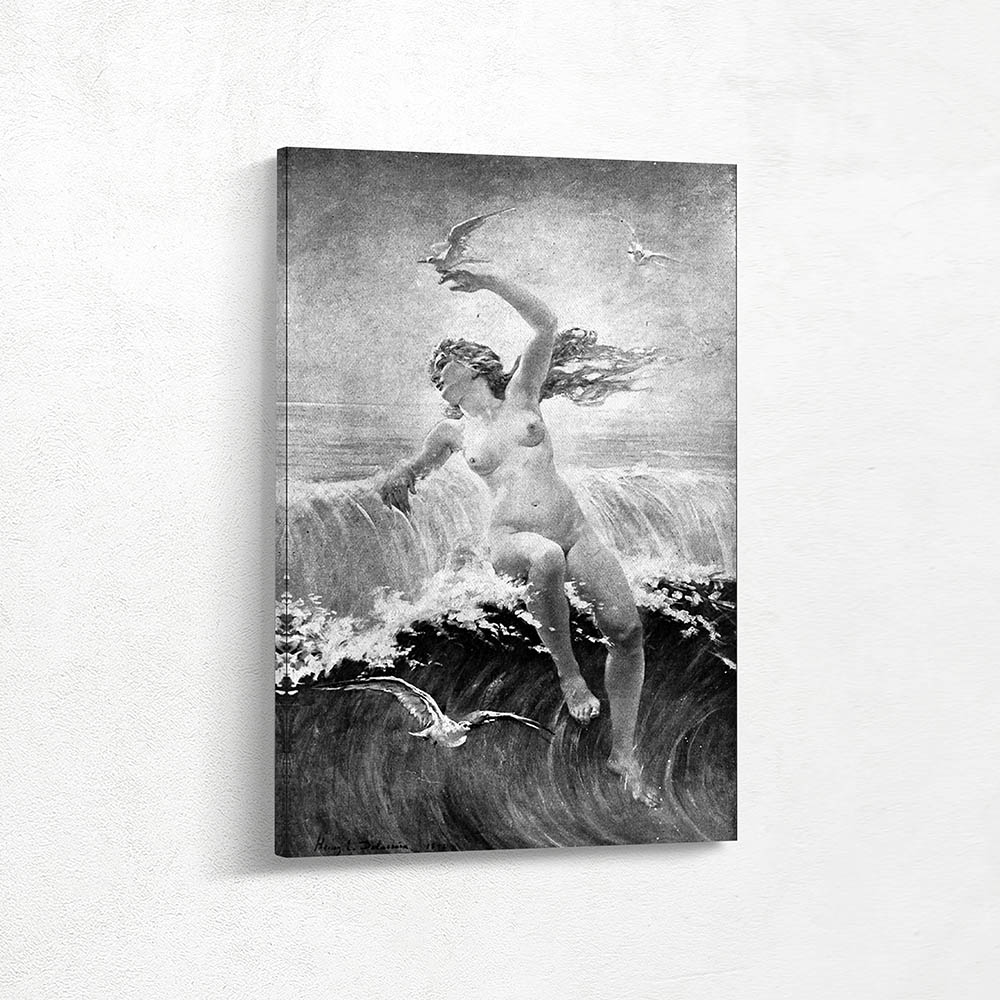 Seagulls and rollers