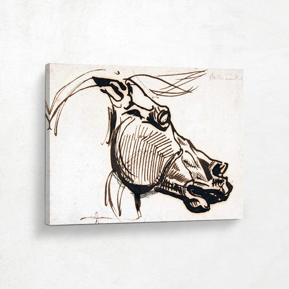 Head of a Horse after the Parthenon Head of a Horse after the Parthenon