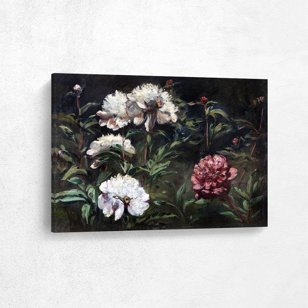 White and Red Peonies