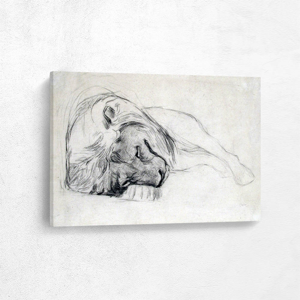 The Head of a Recumbent Lion