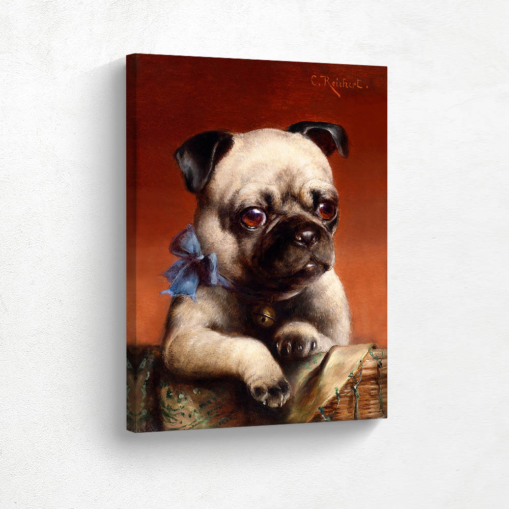 Young Pug