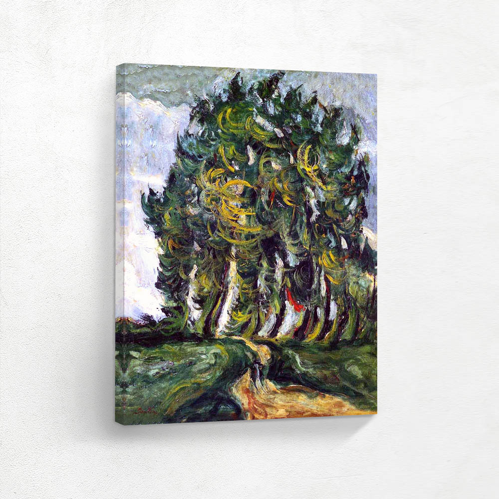 Trees in Auxerre