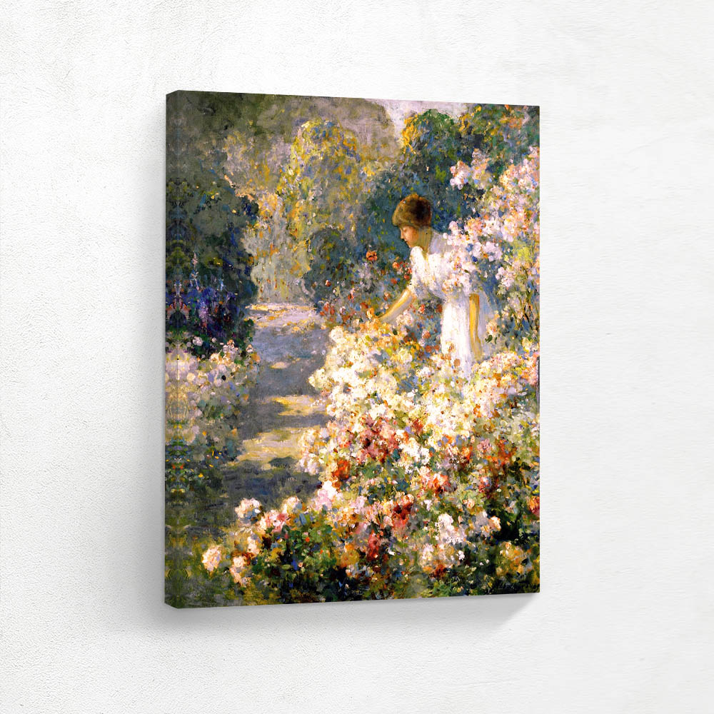 Morning in The Garden