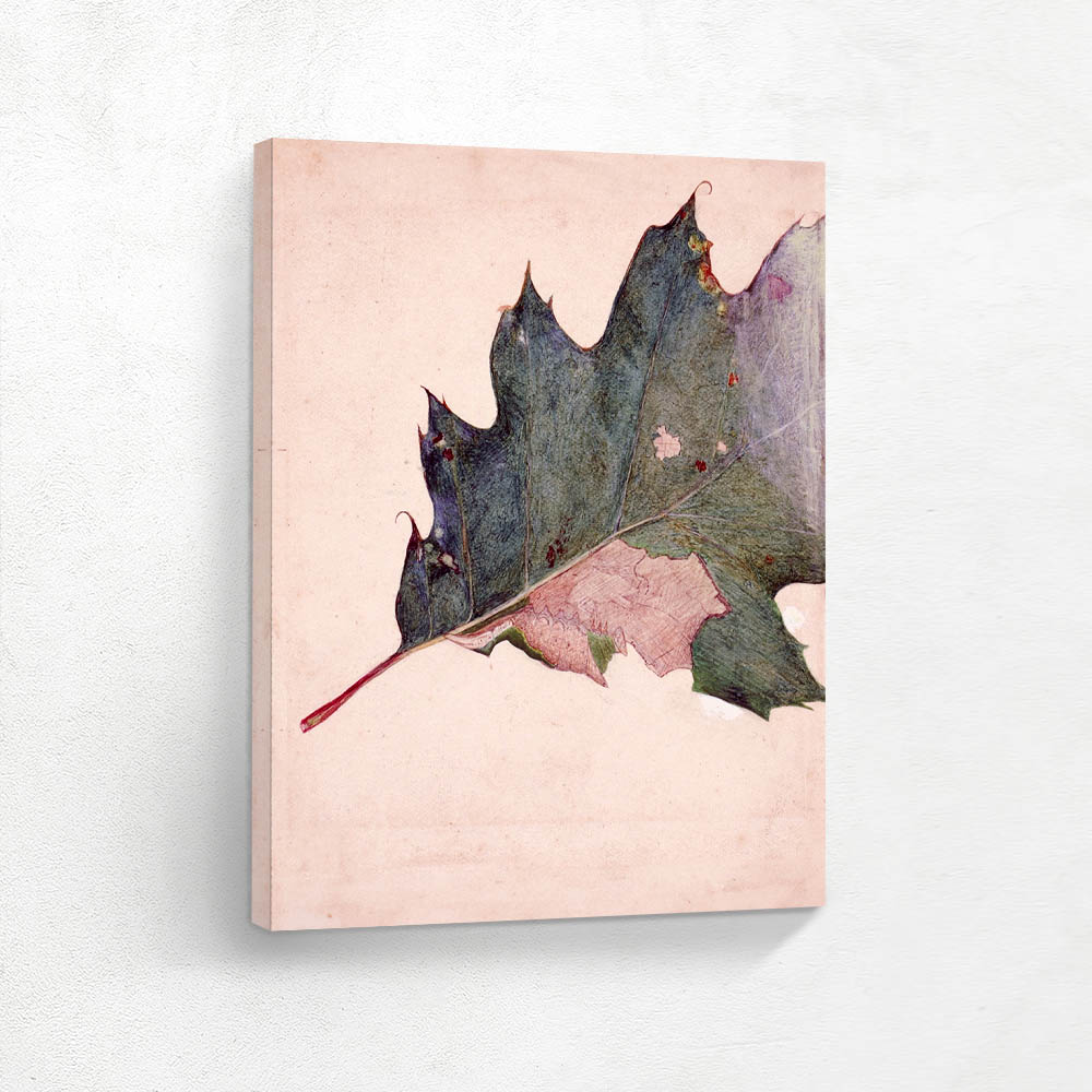 Concealing Study