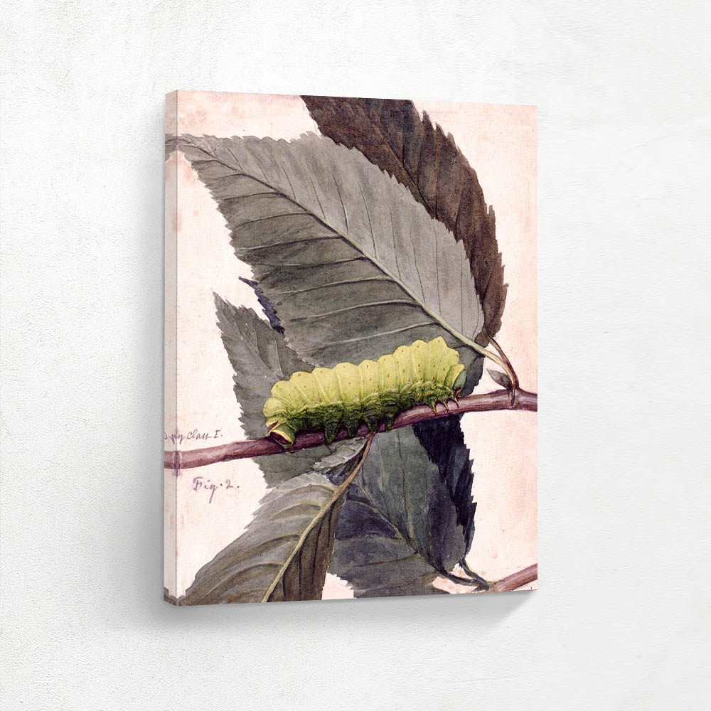Lunar Caterpillar