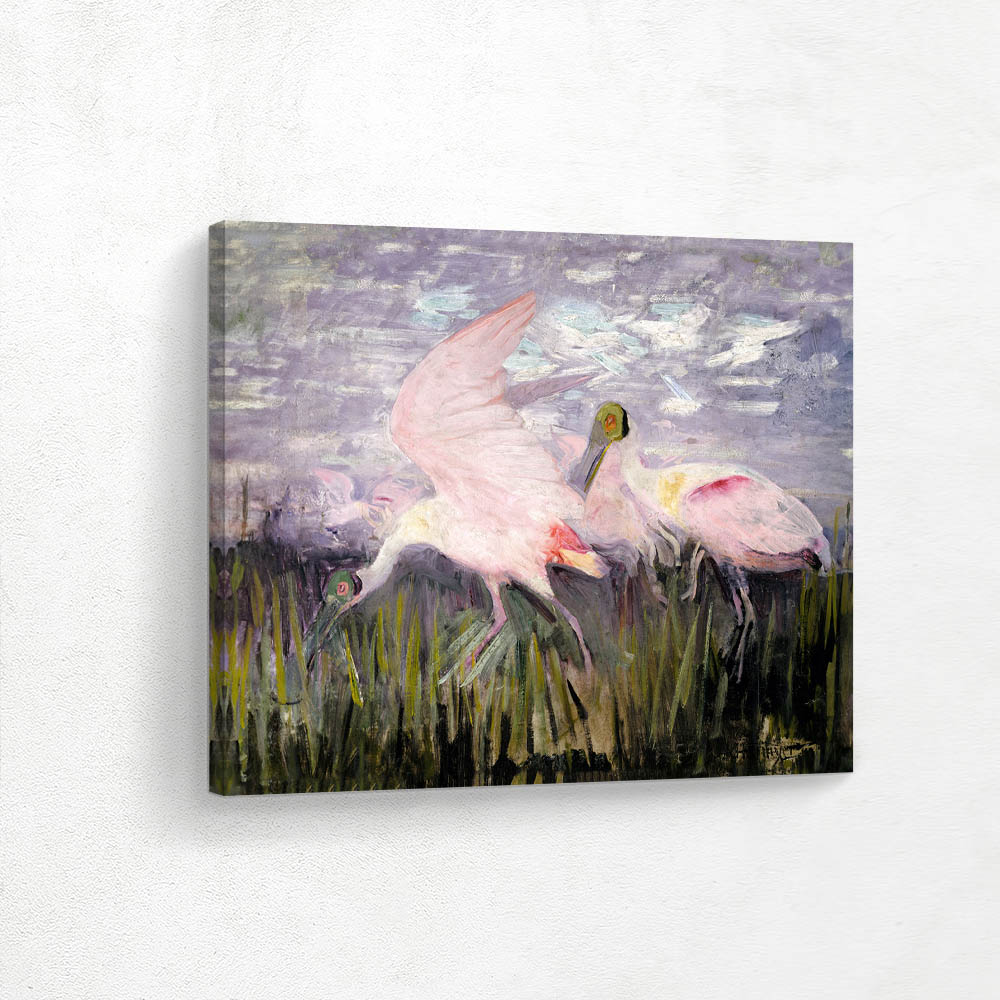 Roseate Spoonbills