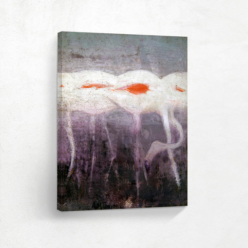 White Flamingos