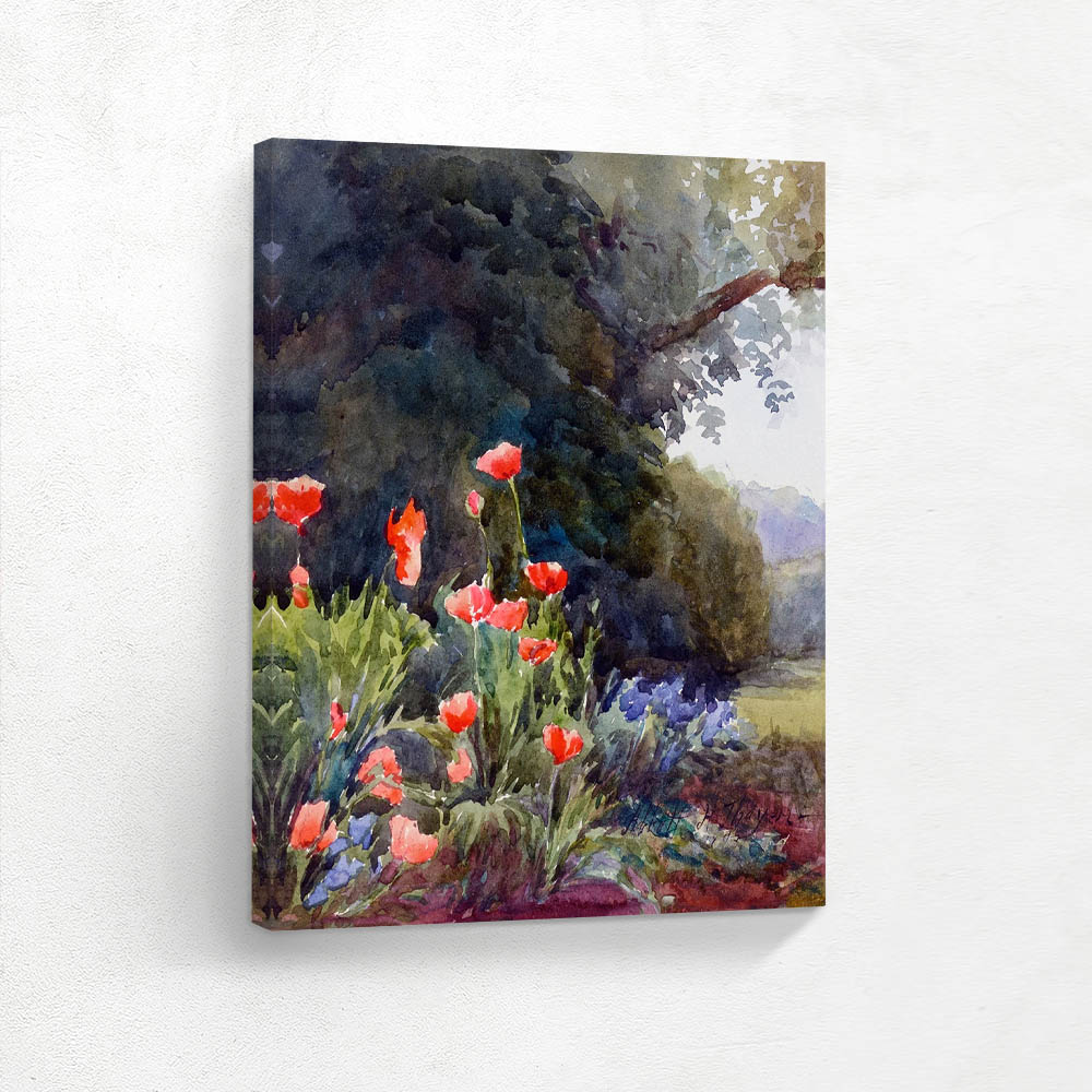 Poppy Blossoms