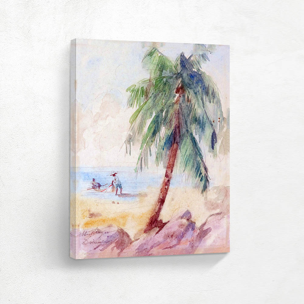 Palm Tree