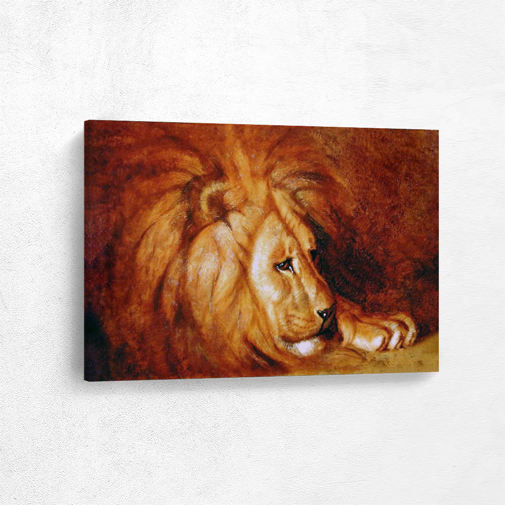 Lion at Rest