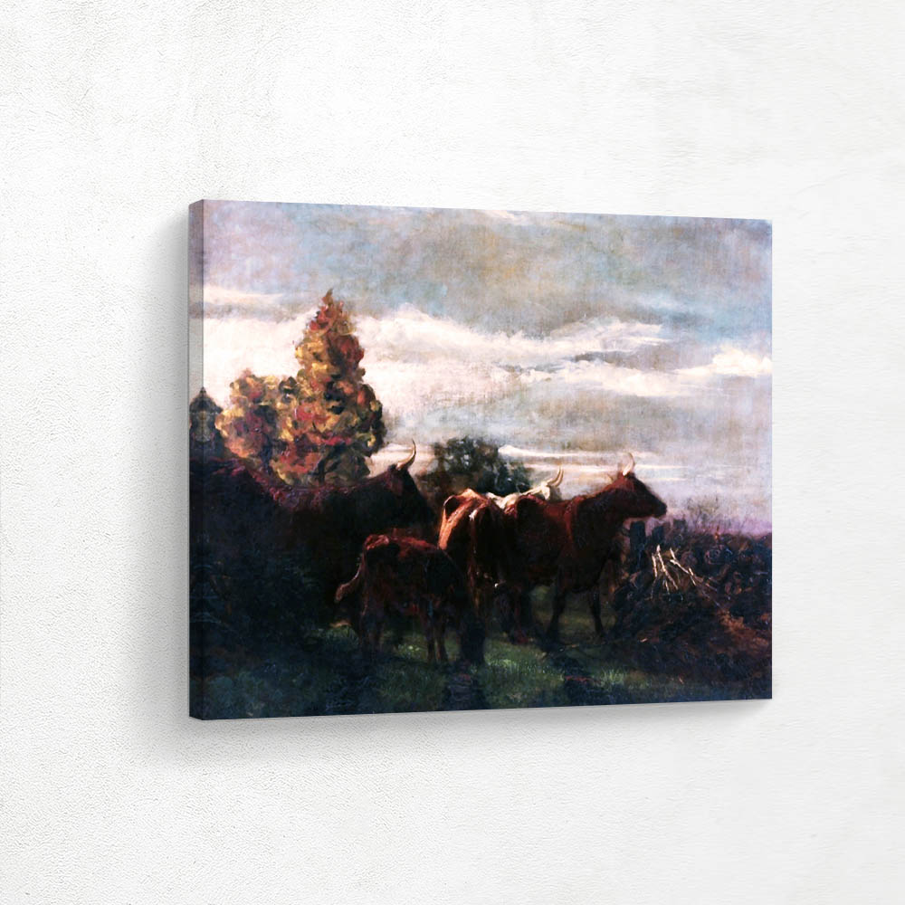 Steer in Landscape