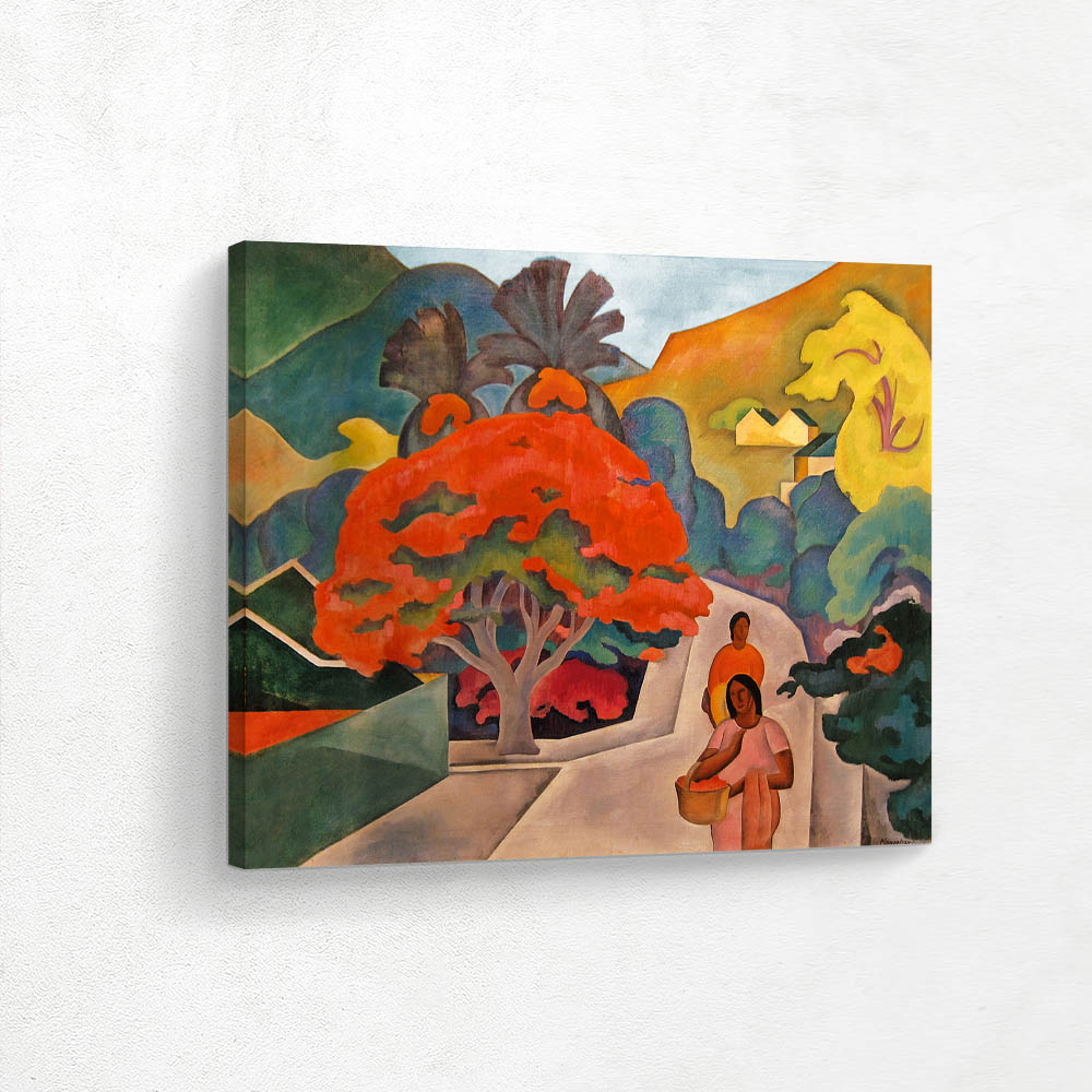 Coral Tree by Black Point