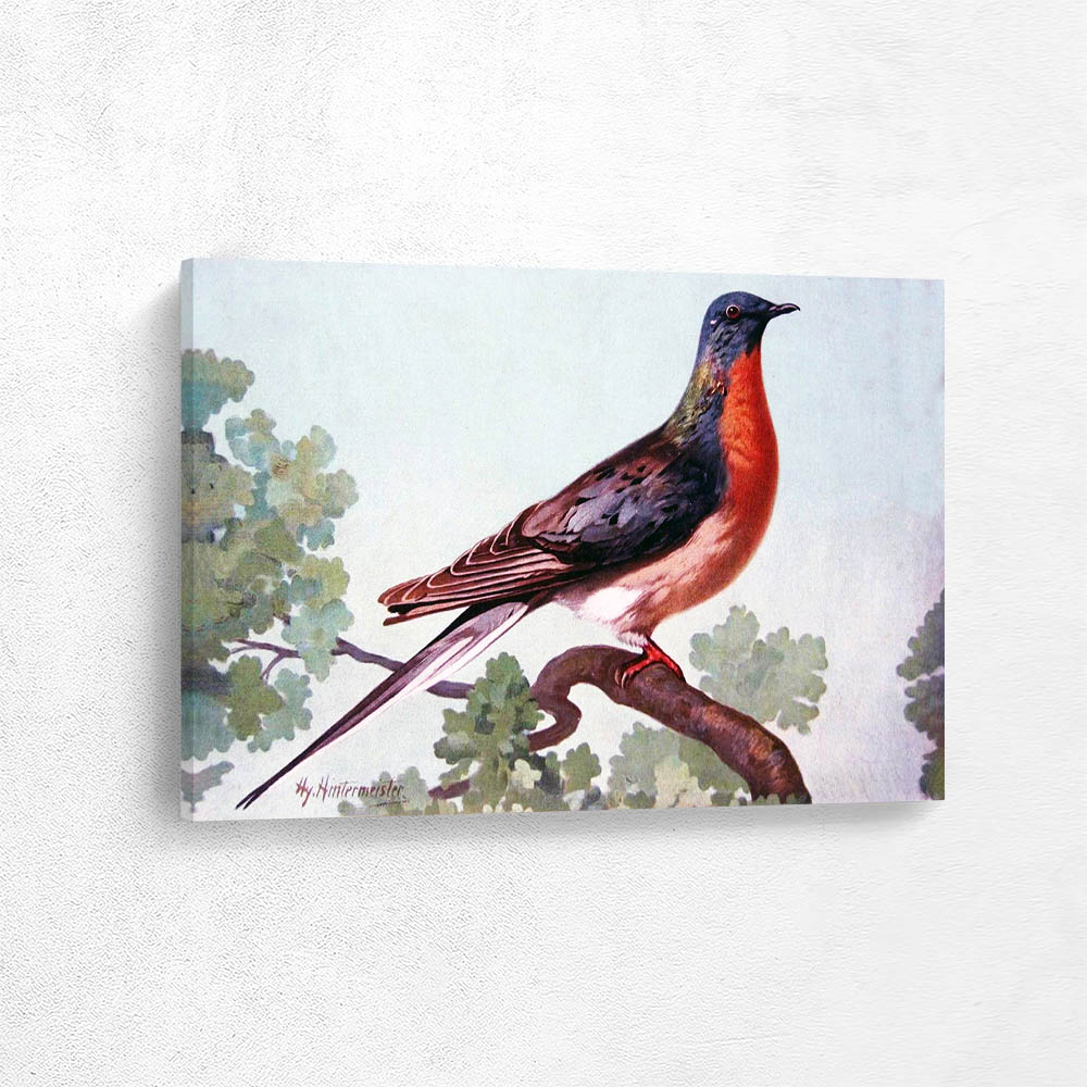 Passenger pigeon