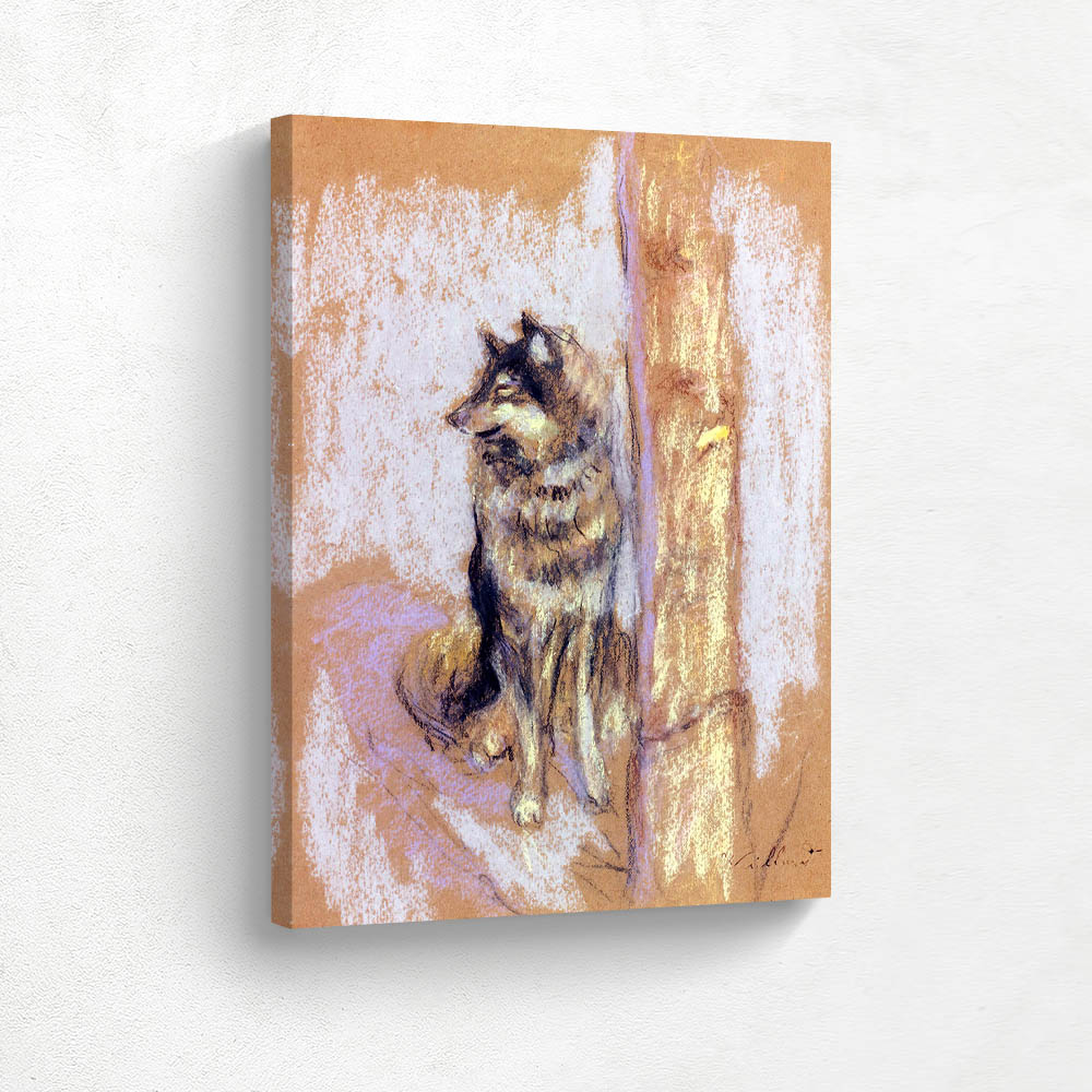 The wolf dog in Gerardmer