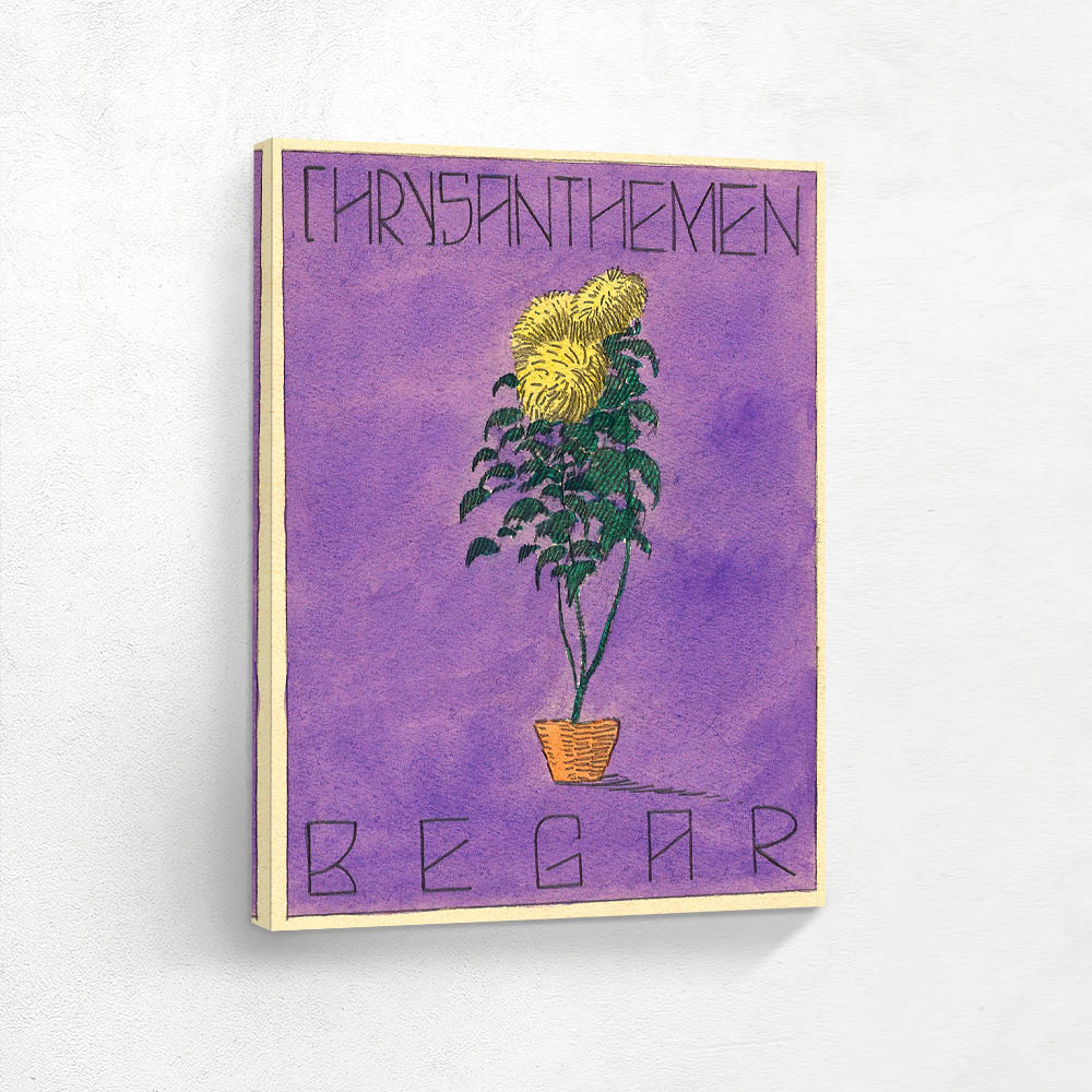 Chrysanthemums Begar