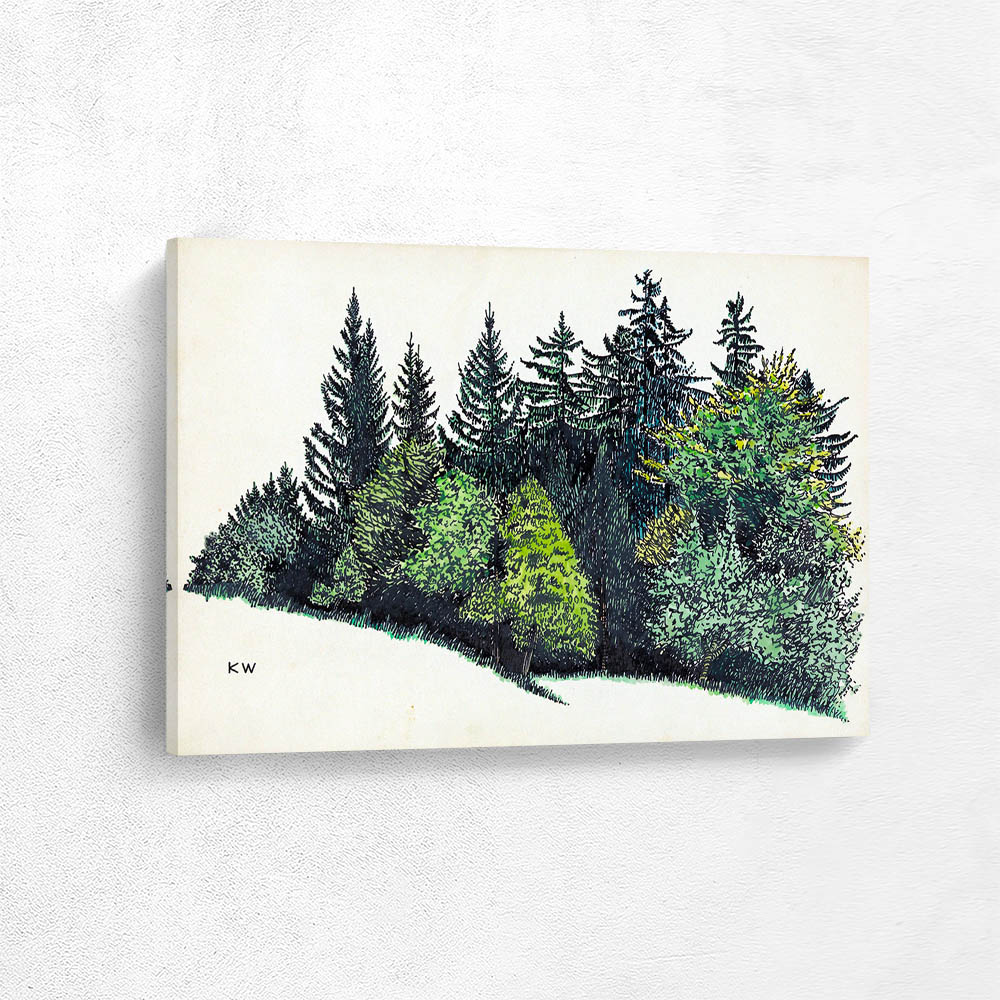Forested area