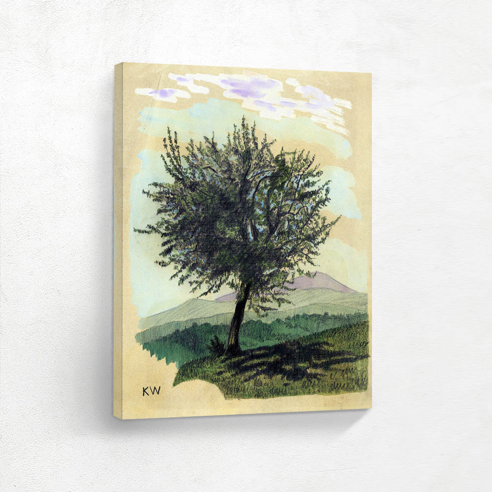 Deciduous Tree in landscape