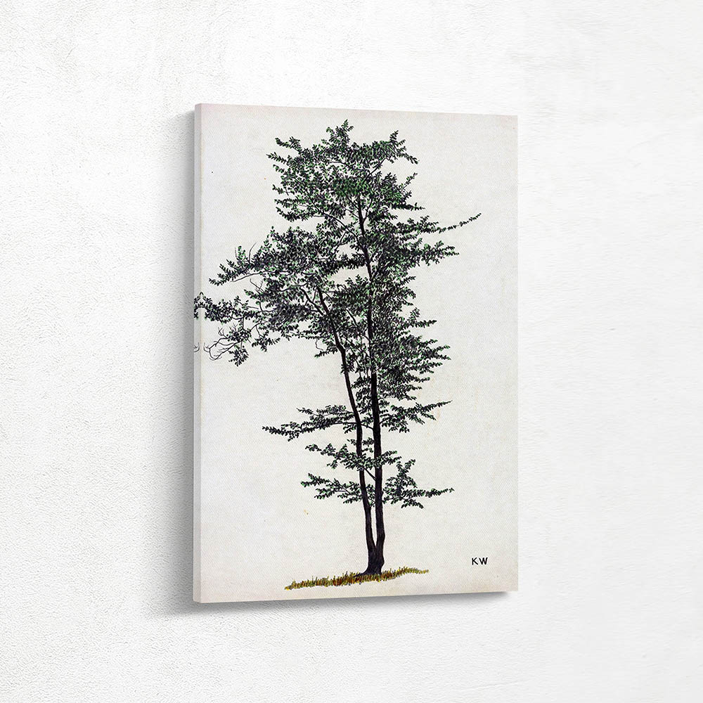 Deciduous tree