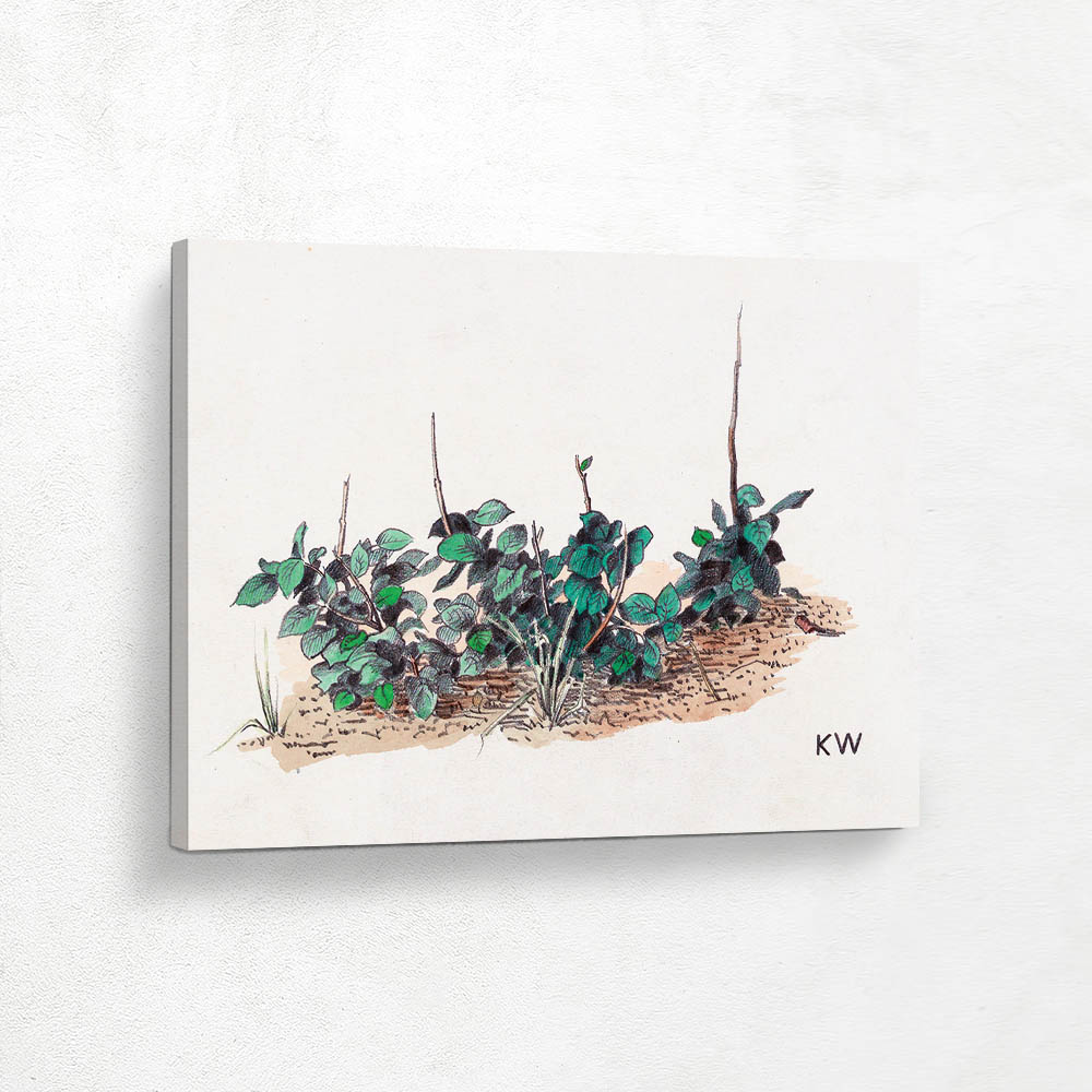 Untitled (Green plandts)