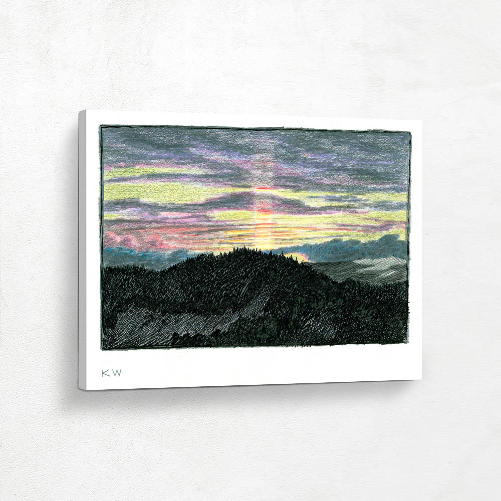 Untitled (Nature Study)