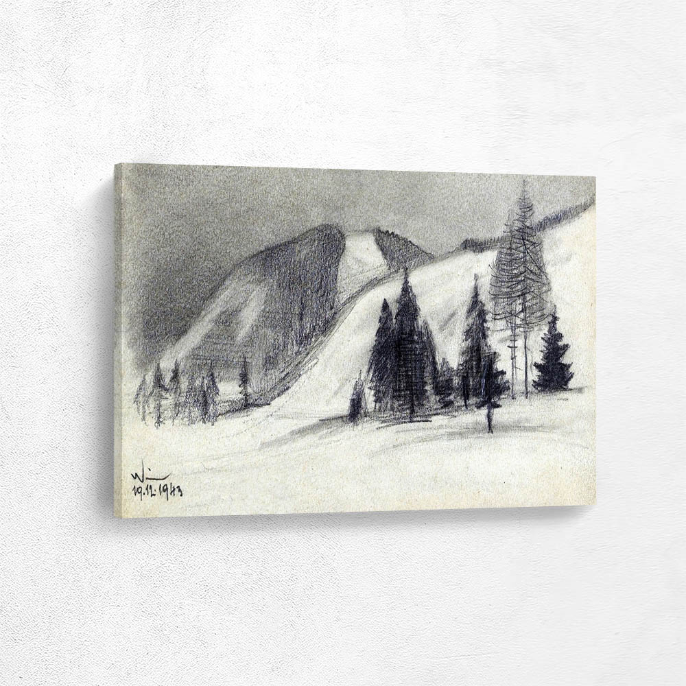Upper Styrian winter landscape