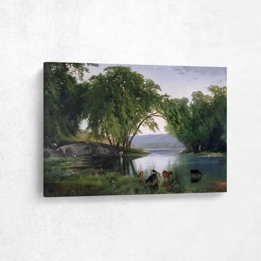 On the Catawissa Creek