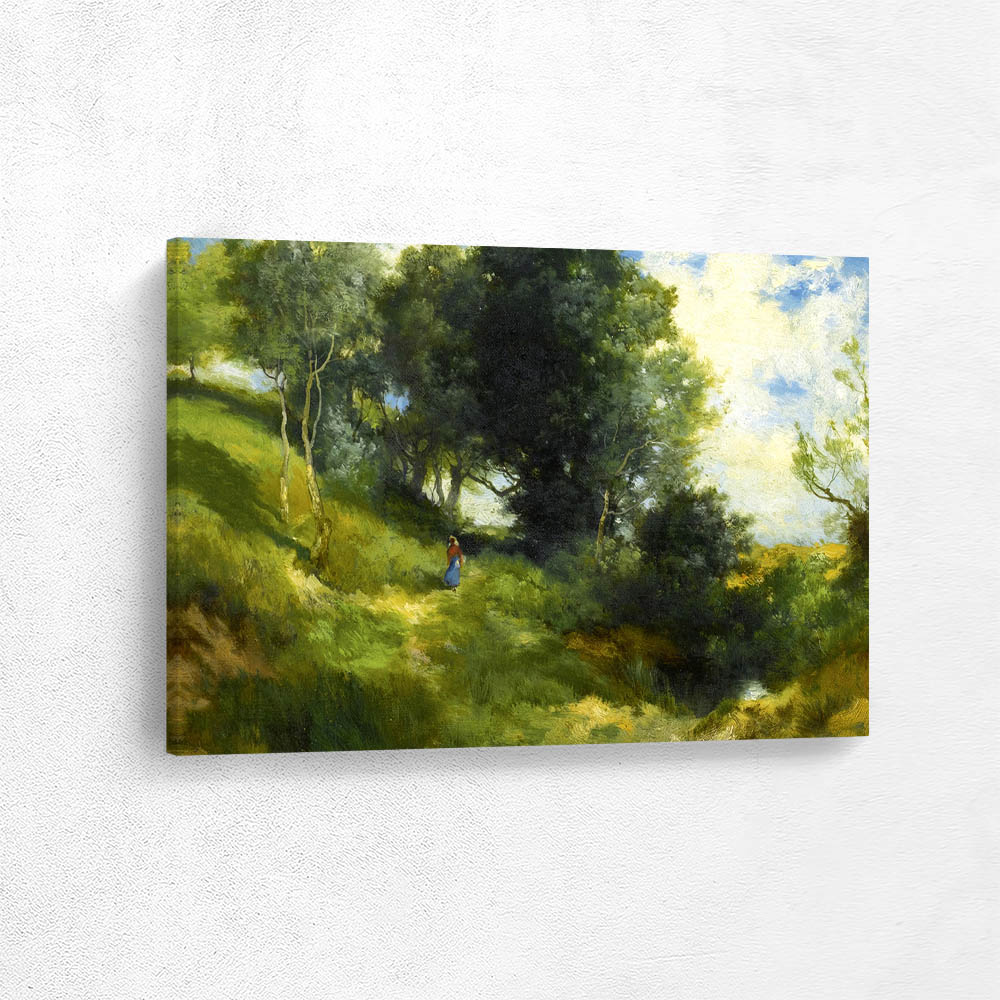 A Path Through the Woods