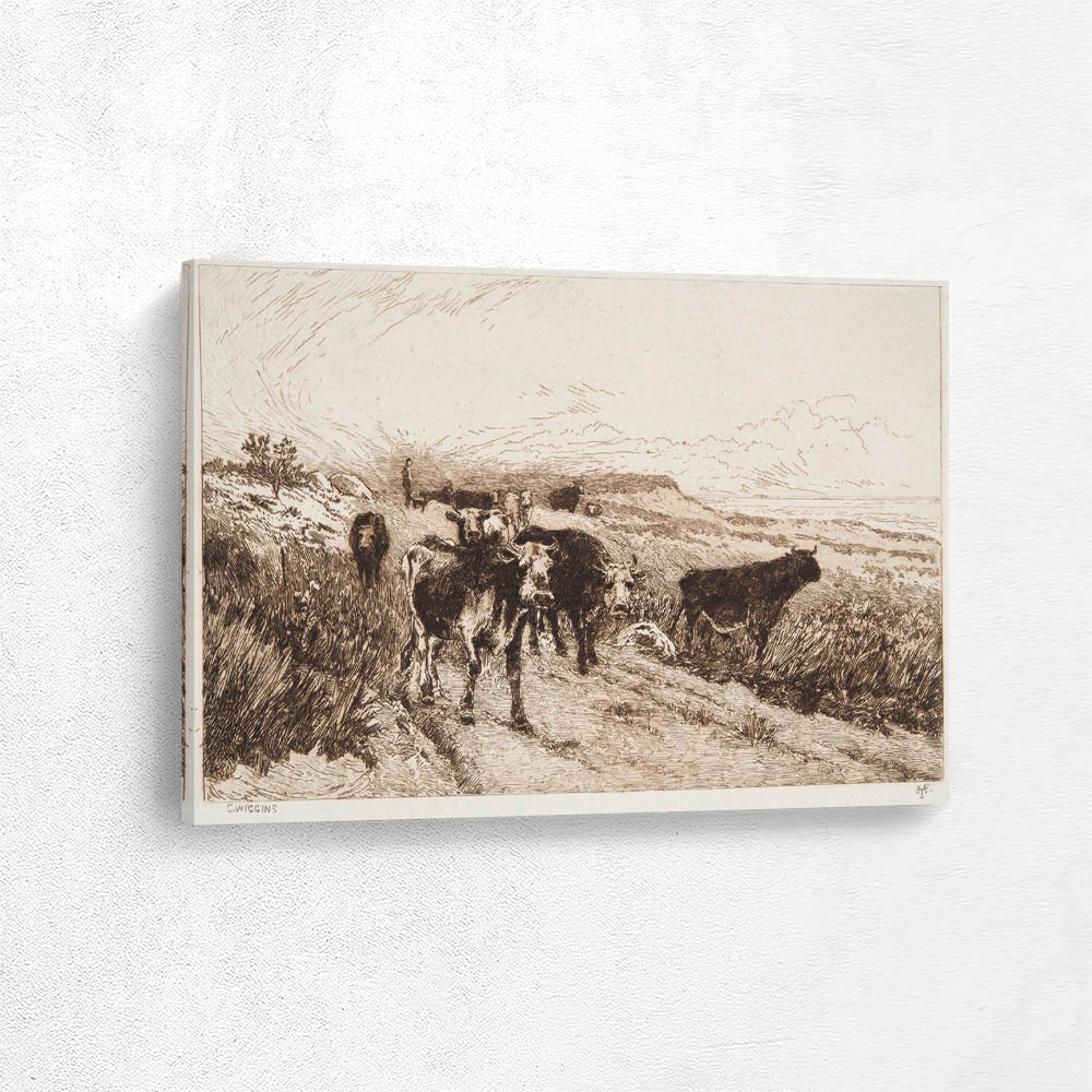 Cattle on the Coast after C. Wiggins