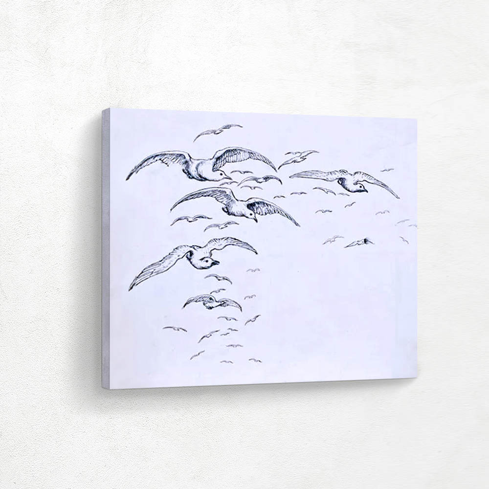 Seagulls