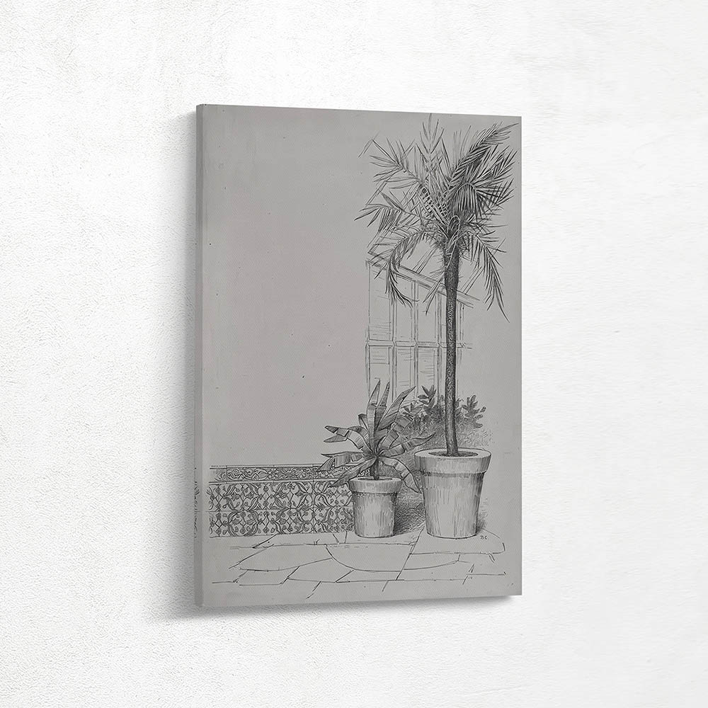Potted Plants
