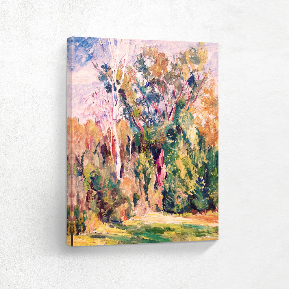 Birch and oak