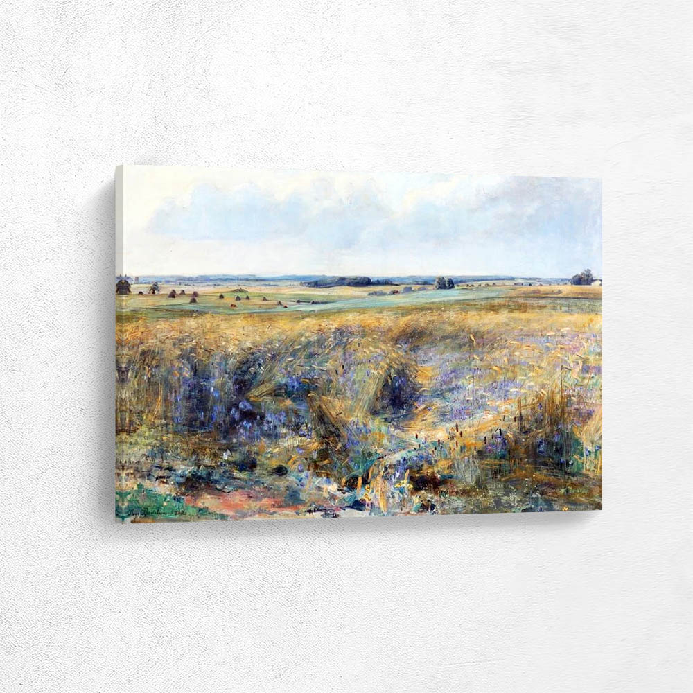 A view of a field with cornflowers on a summer day