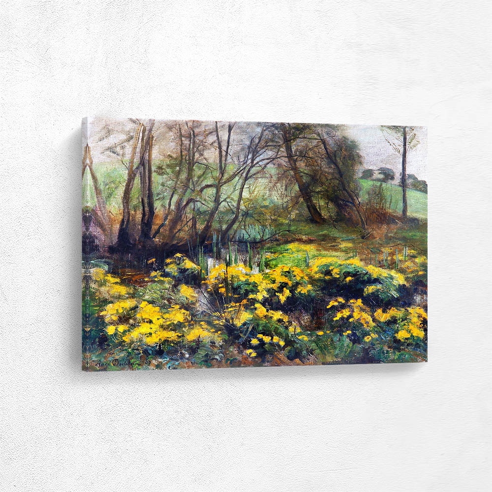 Flowers in the woods